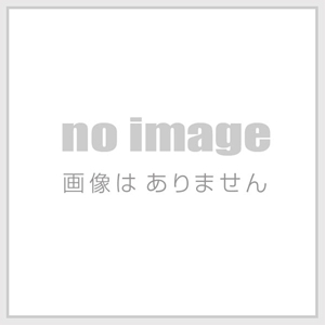 GARAGE VARY S660 JW5 マフラー